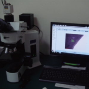 Microscope_鉅耕_Arun
